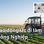 Đi Úc Làm Nông Nghiệp 2024