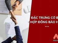 Hợp Đồng Bảo Hiểm Opes Là Gì