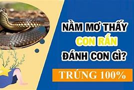 Mơ Thấy 3 Con Rắn Đánh Con Gì