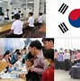 Xkld Nhật Hay Hàn Quốc Tốt Hơn 2024 Voz